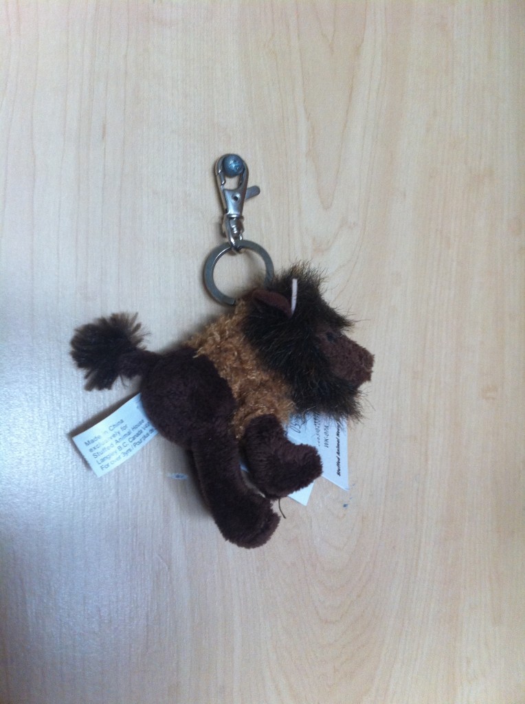 A stuffed little keychain bison in Meriwether