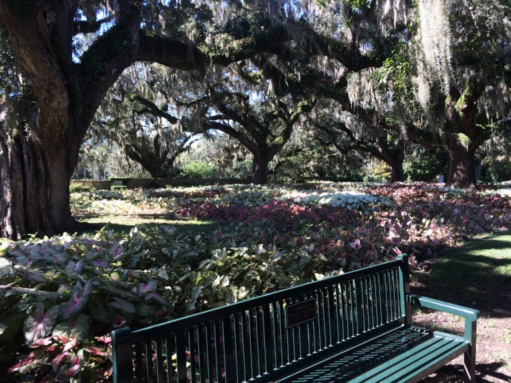 Brookgreen gardens