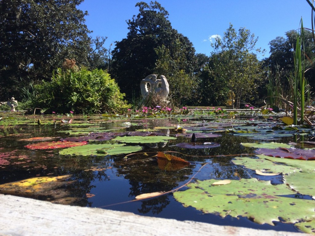 Brookgreen gardens