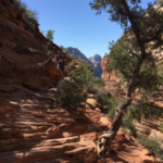 Angels Landing First Climbing Chain
