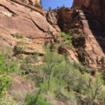 Angels Landing First Switchbacks