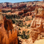 Bryce Canyon Hoodoos