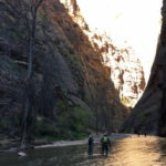 The Narrows Hiking Trail