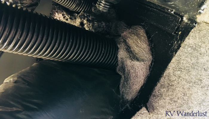 Plugging RV Mice Holes With Steel Wool